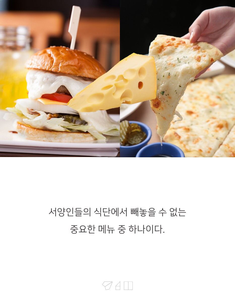 대한민국 치즈의 숨겨진 비밀 | 인스티즈