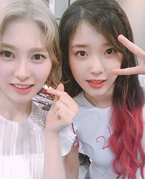 여자가수들과 찍은 아이유 모음.IU | 인스티즈