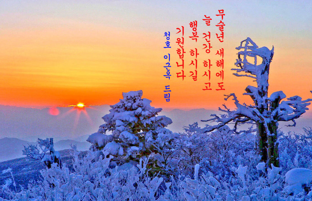 씨앗사랑 이미지