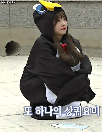 아이돌 요리왕을 꿈꾸는 fromis 노지선.jpg | 인스티즈