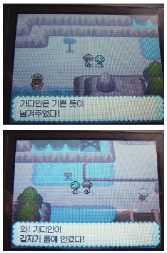 인간과 사랑을 나누었던 포켓몬 | 인스티즈
