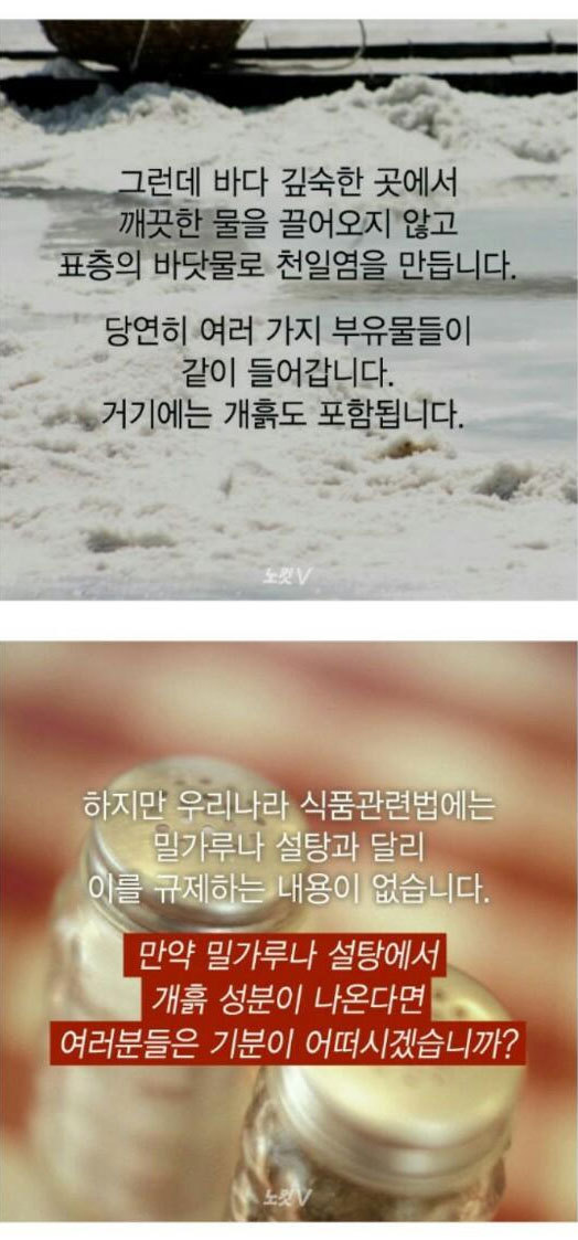 천일염의 비밀 . jpg | 인스티즈
