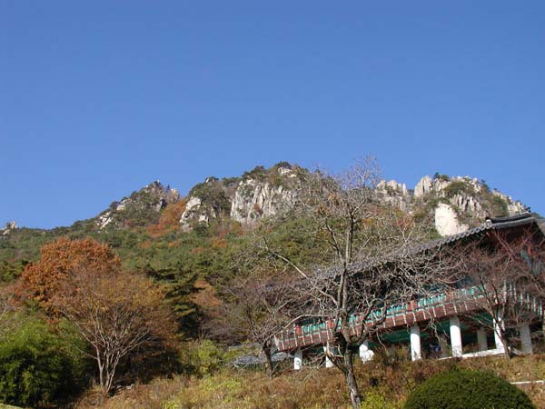 남산 이미지