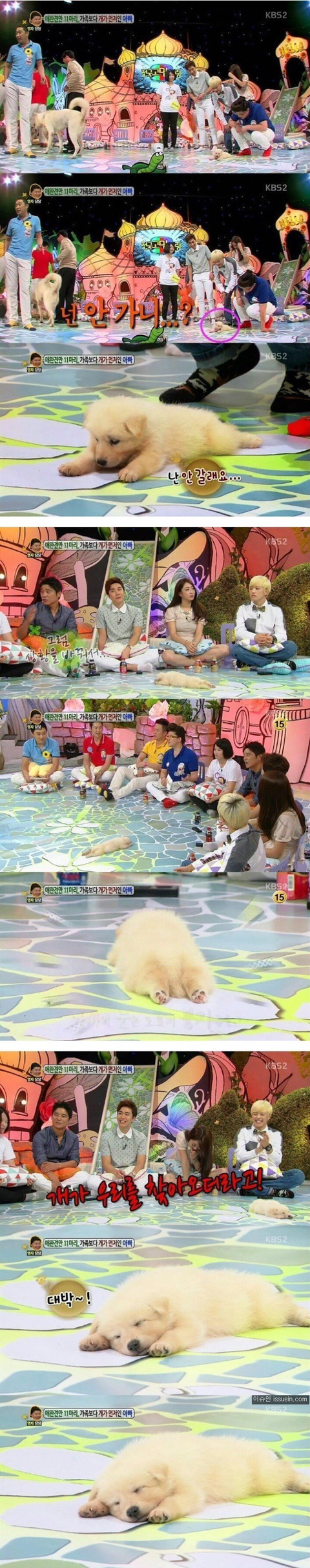 와 방송중에 대놓고 자네 | 인스티즈