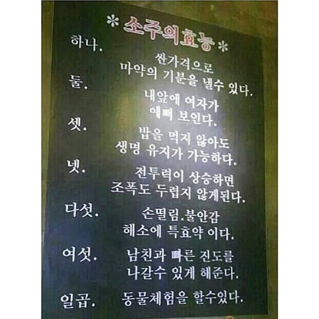 소주의 효능 | 인스티즈
