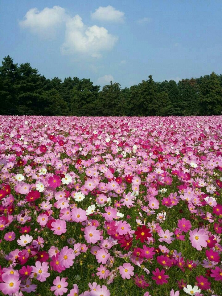 국제교육연구원 이미지