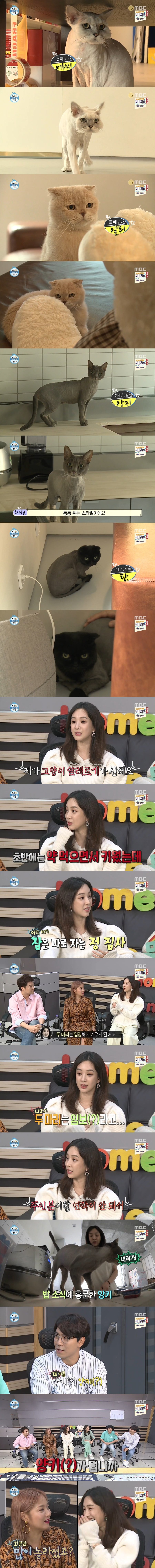 나혼자산다 려원과 고양이 | 인스티즈