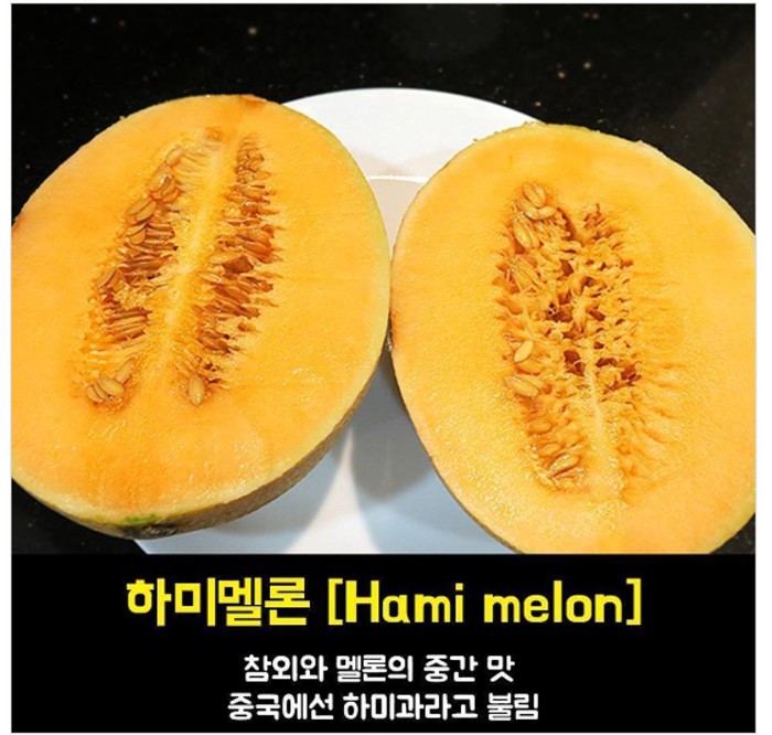 다마트 이미지
