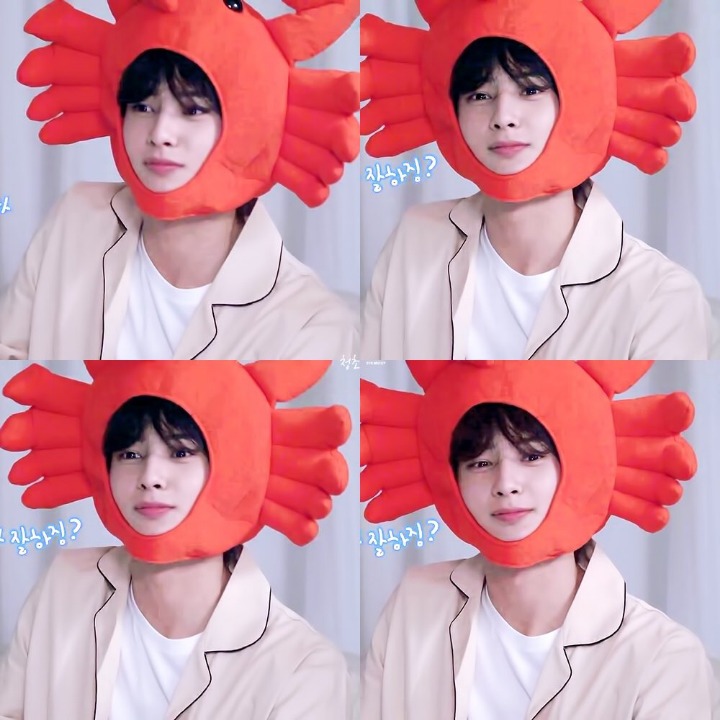 으누 이미지