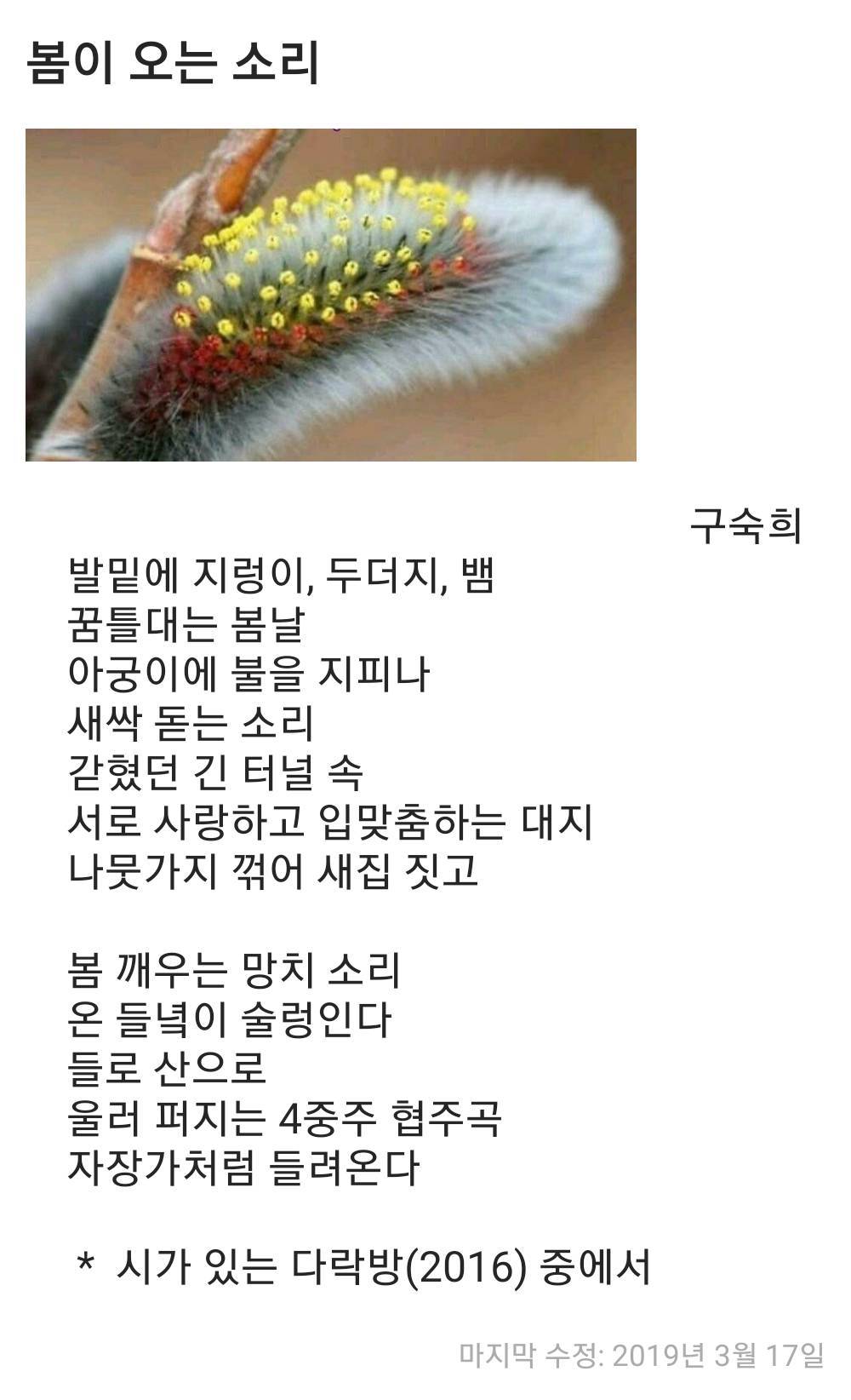 봄이 오는 소리 - 문학 게시판 - 문장21 봄이 오는 소리